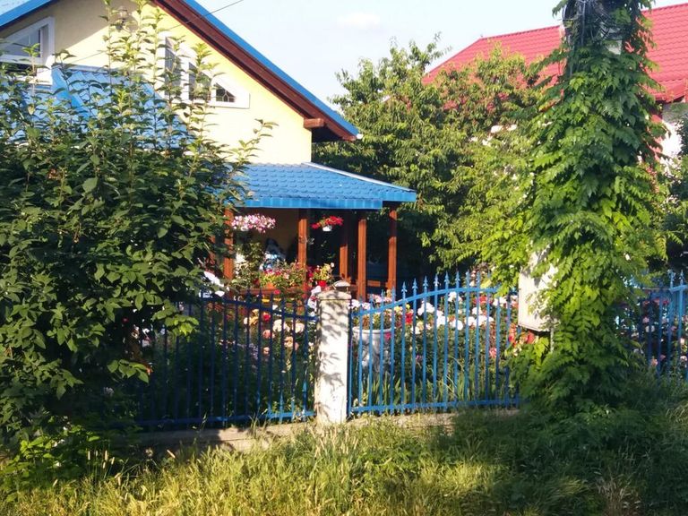 Medicul Gheorghe Roşca, condus pe ultimul drum