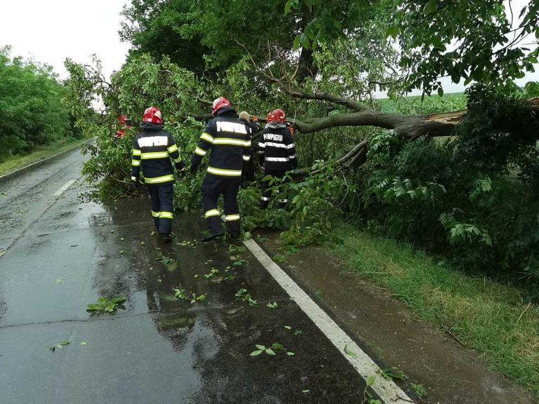 Copaci doborâți de vântul puternic. Un transformator electric a luat foc