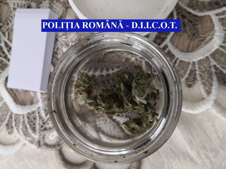 Tineri trimiși în arest pentru afaceri cu cannabis