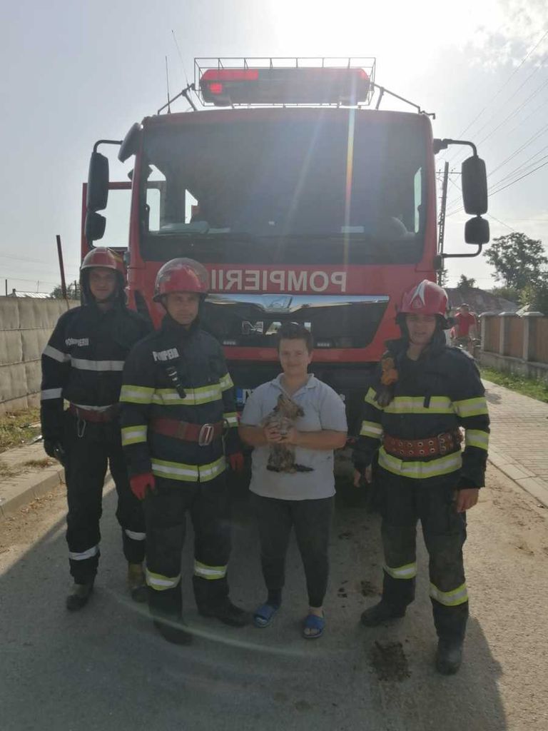 Cățel salvat de pompieri dintr-un canal adânc de doi metri. A fost adoptat imediat