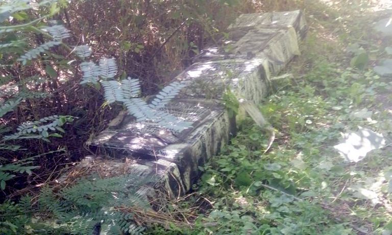 Țigări de contrabandă găsite în vegetația de pe malul Prutului (video)