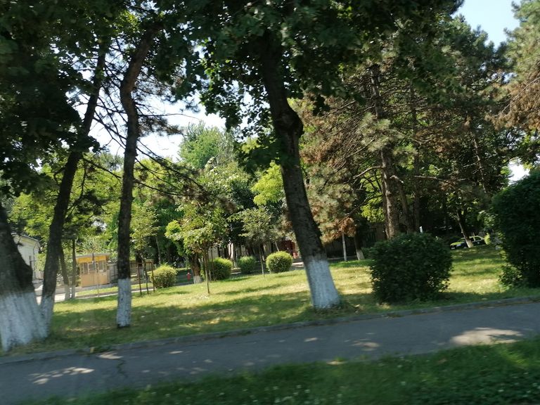 Vot pentru amenajarea scuarului din faţa Liceului Pedagogic “Nicolae Iorga”