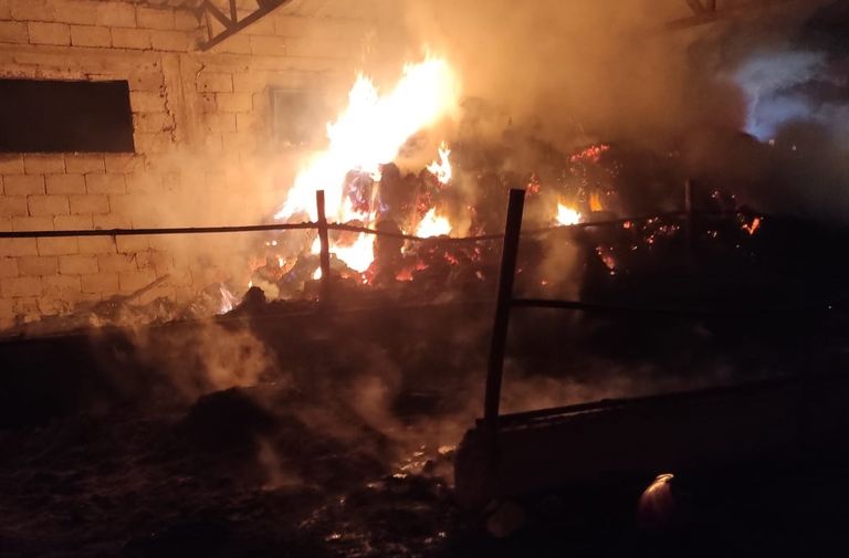 Focul a făcut prăpăd într-o gospodărie. Sute de păsări și zeci de animale au murit