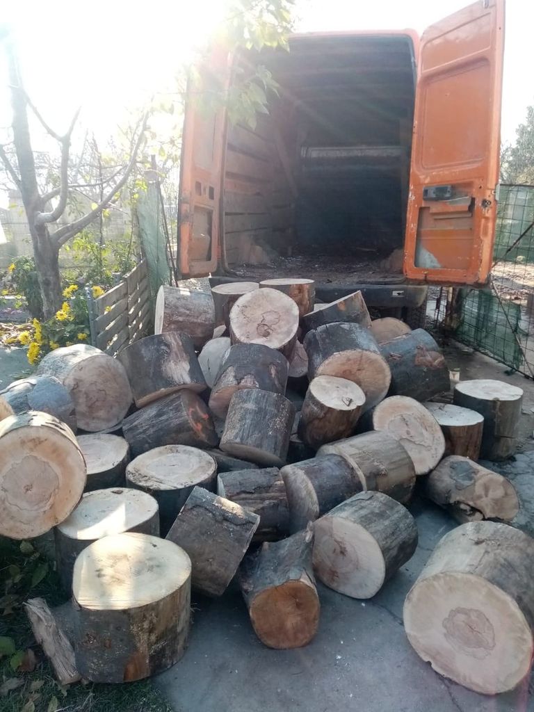 Asociaţia „Scut Botoşănean” cumpără lemne pentru familiile nevoiaşe