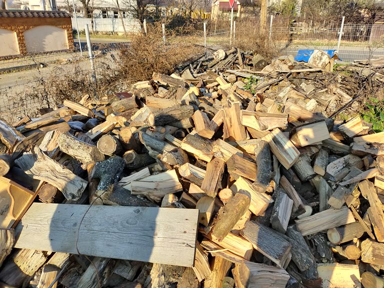 Zeci de botoșăneni au primit lemne de foc de la primărie
