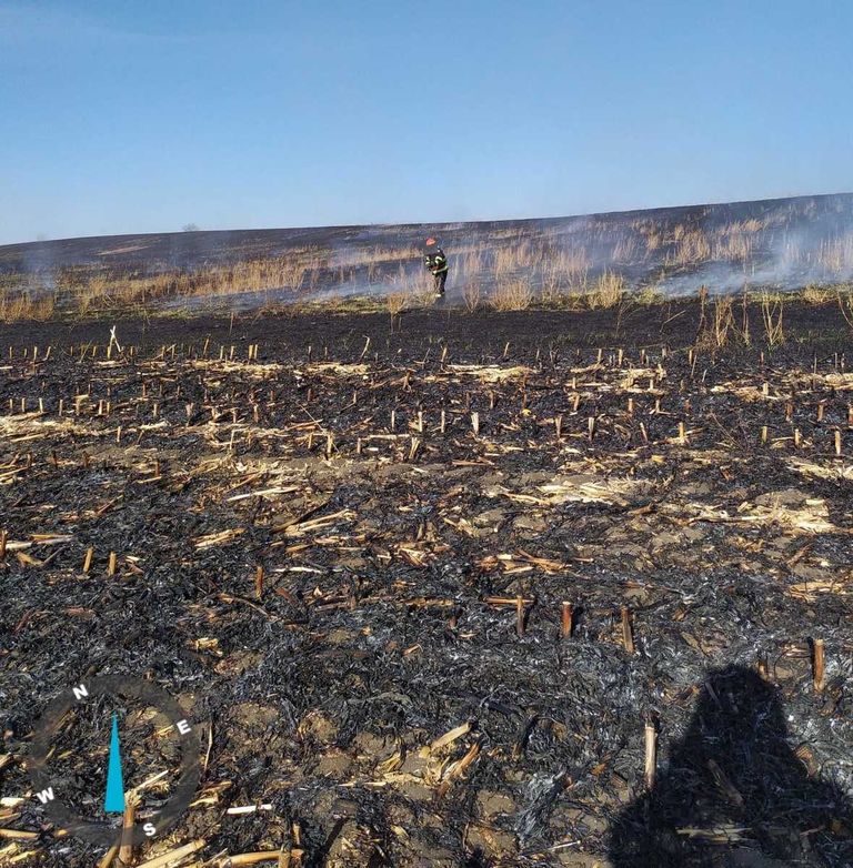 15 hectare de teren pârjolite de flăcări
