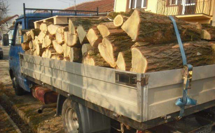 Afaceri ilegale cu lemne combătute cu amenzi