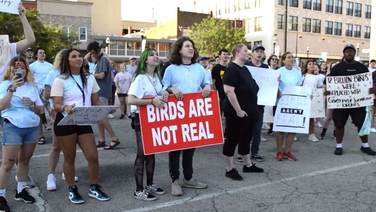 ”Birds Aren’t Real”, farsa care a ajuns teorie a conspirației