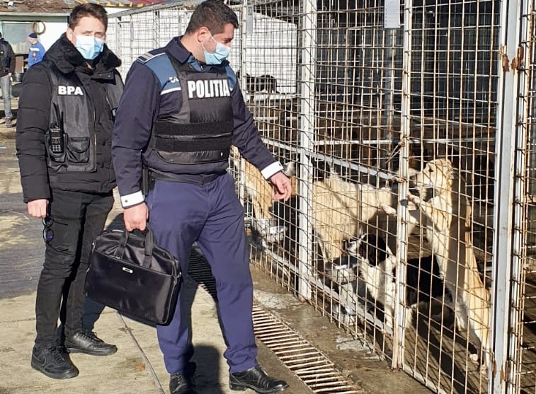Adăposturi de animale verificate de polițiști