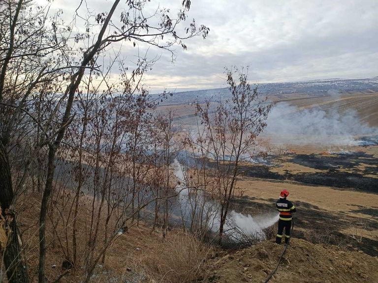 Pădure amenințată de flăcări. Zeci de hectare de teren au fost pârjolite de foc
