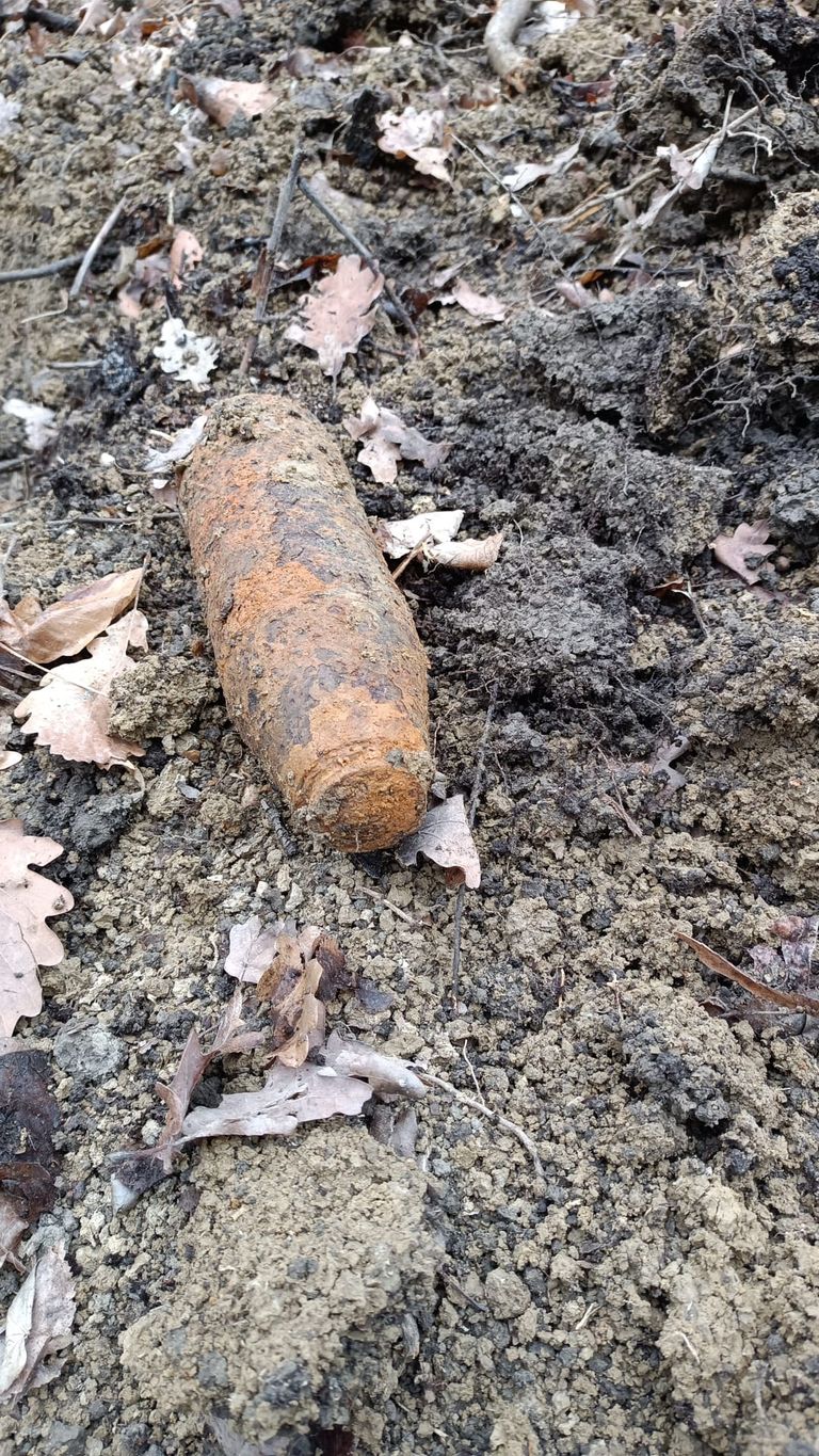 Proiectil exploziv găsit în pădurea Agafton