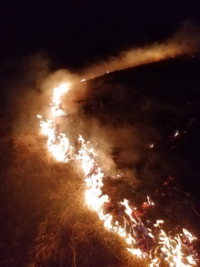 Peste 100 hectare de vegetație distruse în incendii (video)
