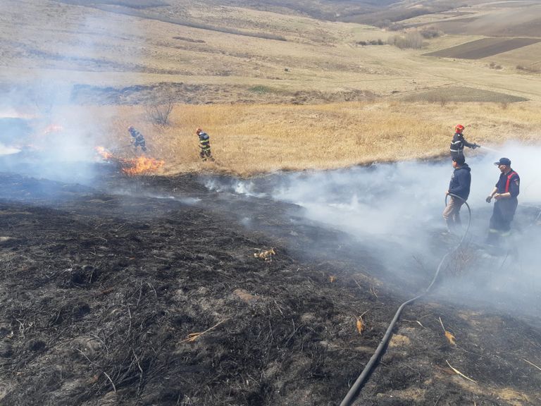 17 noi incendii din cauza arderii vegetației uscate