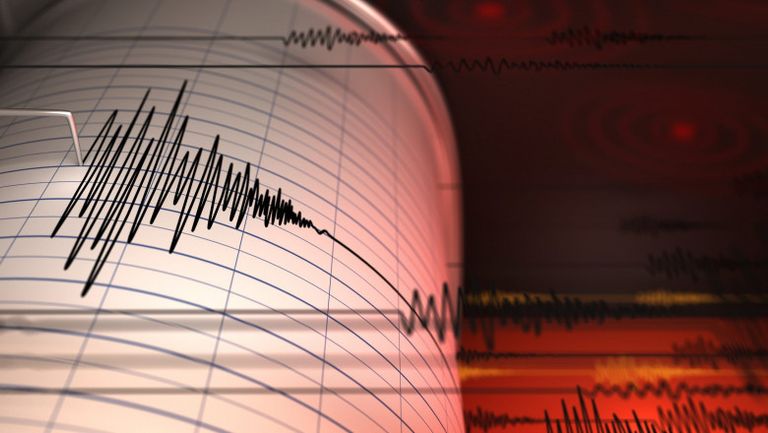 Cutremur cu magnitudinea de 7,3 în Japonia. A fost emisă alertă de tsunami