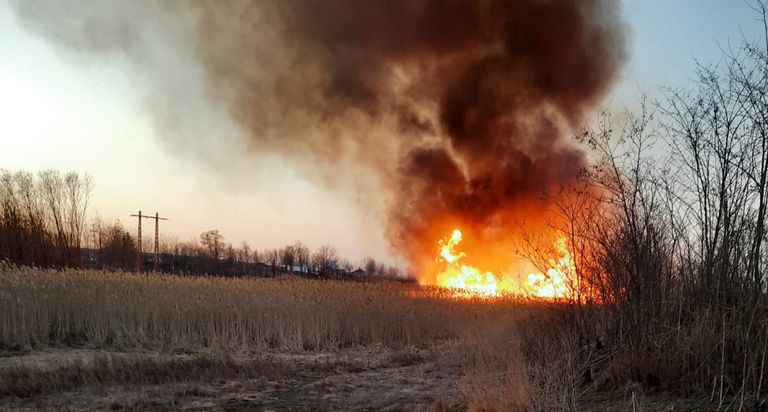 Fermierii care își incendiază terenurile vor pierde subvențiile agricole