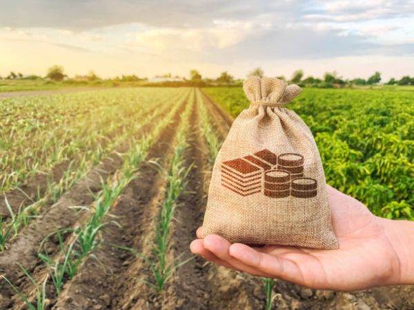 Aproape 28.000 de fermieri au depus cereri la APIA pentru subvenții