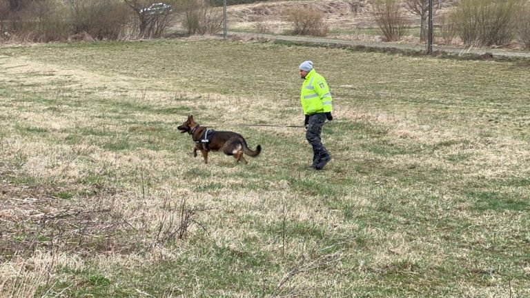 MONITORUL VIDEO: Câinele de urmă al IPJ ajută la căutările criminalului