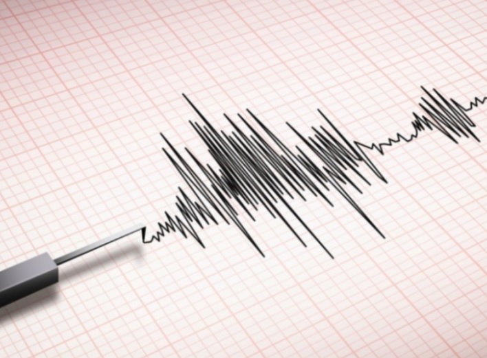 Replici ale cutremurului de 5,7 din Gorj, înregistrate pe toată durata nopţii