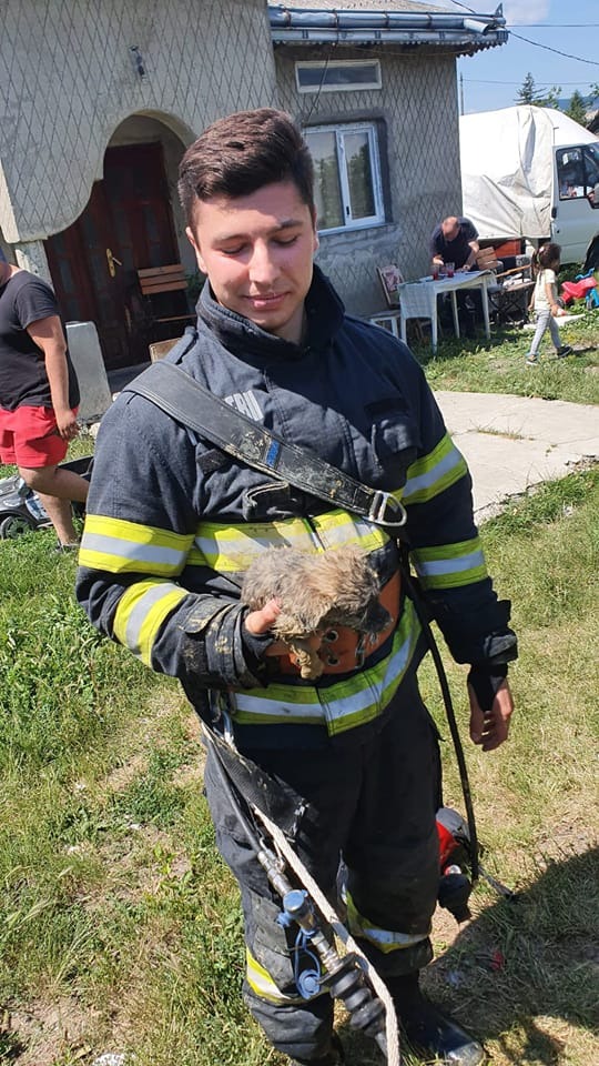 Căţel salvat cu pompierii