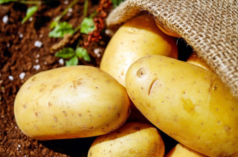 Sprijin pentru cultivatorii de cartofi