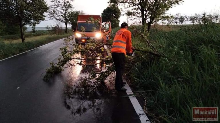Drum naţional blocat de un arbore rupt de furtună