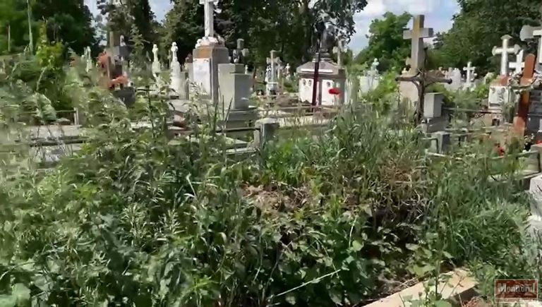 Promisiuni pentru rezolvarea junglei din cimitire (video)
