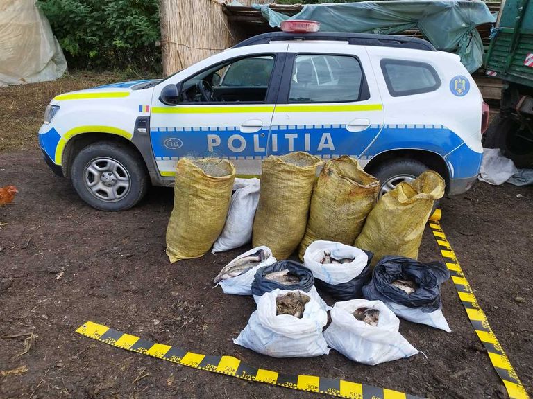 Percheziții la Știubieni. Zeci de kilograme de pește și kilometri de setci confiscate de la un braconier