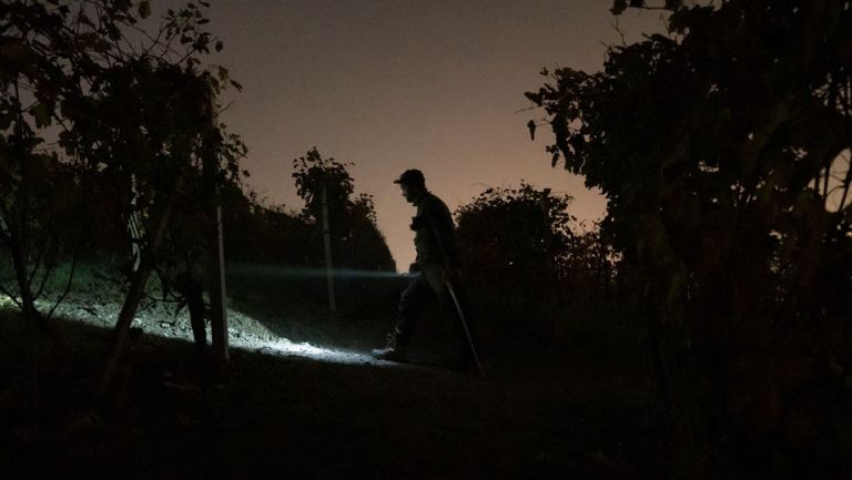 Braconier „vânat” printre boscheți, la lumina lunii. Partidă ilegală de vânătoare dejucată de polițiști