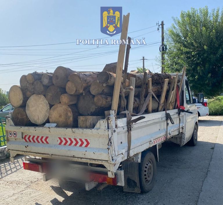 Transport ilegal de lemne depistat în trafic. Marfa a fost confiscată
