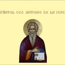 Sfântul Cuvios Antonie de la Iezeru Vâlcea