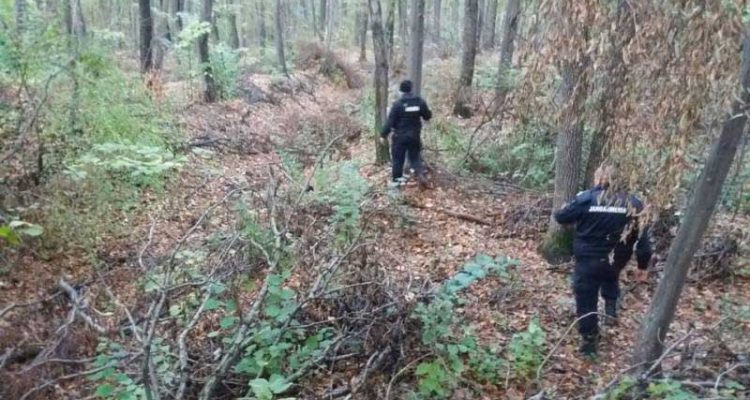 Botoșăneanul dat dispărut a fost găsit într-o pădure, la zeci de kilometri de casă
