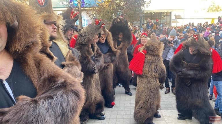 MONITORUL VIDEO: Urșii de la Comănești au făcut un adevărat spectacol pe Pietonal