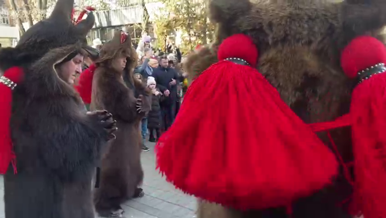 Urșii de la Comănești au ajuns la Botoșani