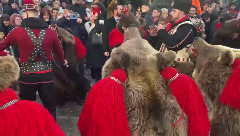 Urșii de la Comănești au ajuns și în fața primăriei.
