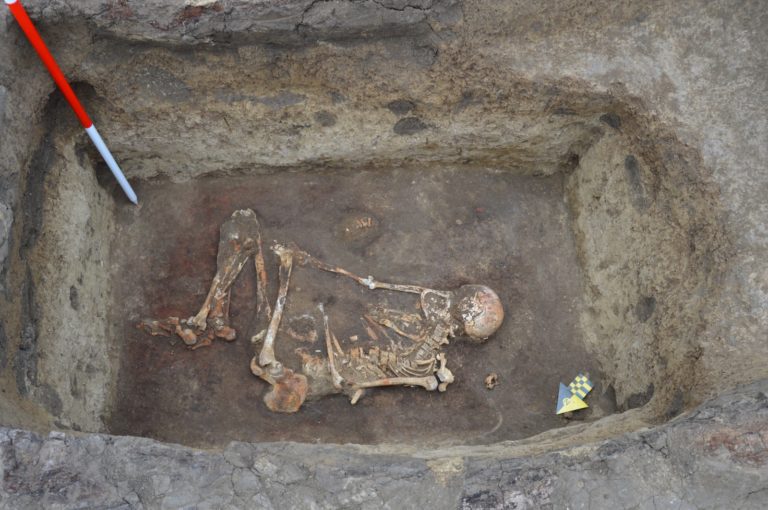 Schelet uman vechi de peste 3.000 de ani, descoperit într-o comună din județ
