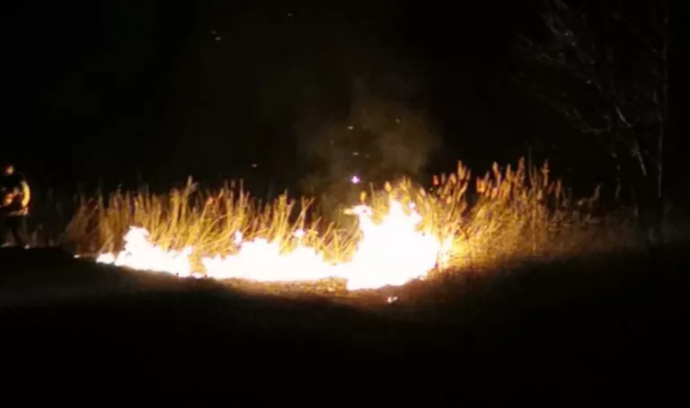 Hectare pârjolite de foc. Localnicii continuă să incendieze vegetația uscată