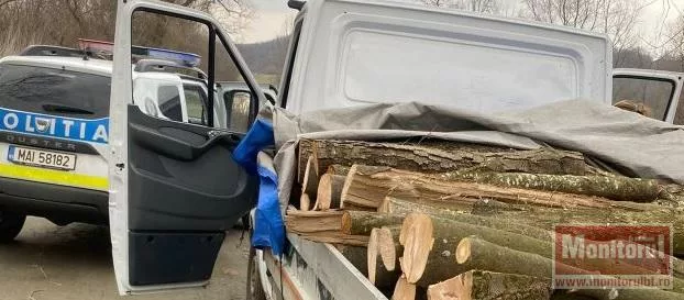 Cum se fură lemnul. În acte e puțin, dar în realitate este mai mult