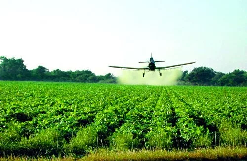 Statul francez a fost condamnat pentru folosirea masivă a pesticidelor