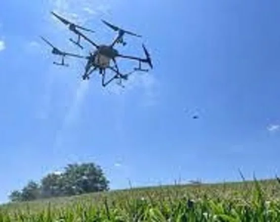 Drone în agricultura din județ. Tratamente făcute din cer (video)