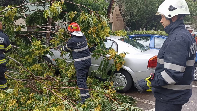 Maşină avariată din cauza unui copac doborât de furtună