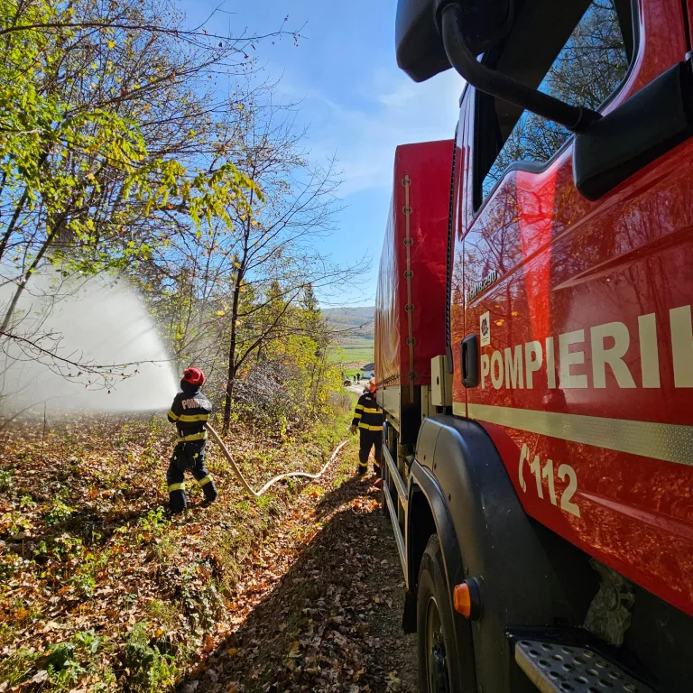 Exercițiu de amploare desfășurat de pompieri într-o pădure din județ