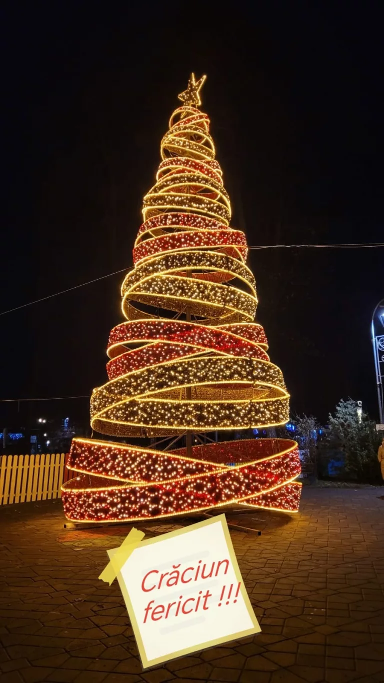 Tradiții şi obiceiuri românești de Crăciun