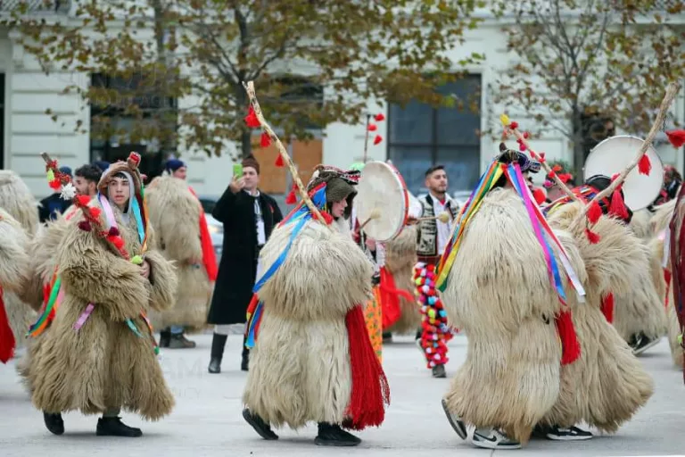 Urșii de la Rotunda ajung în județul Botoșani (video)