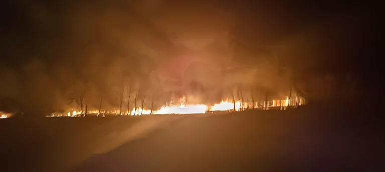 Câmpuri pârjolite de flăcări. Imagini apocaliptice în județ (VIDEO)
