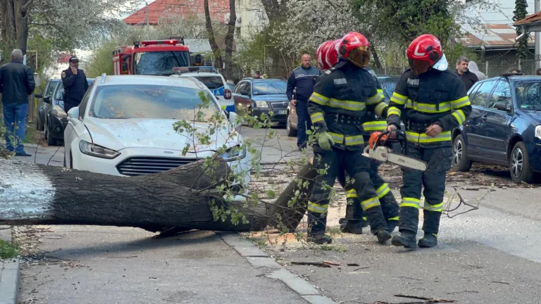 Copac PRĂBUȘIT peste două autoturisme! Pompierii continuă să acționeze (VIDEO)