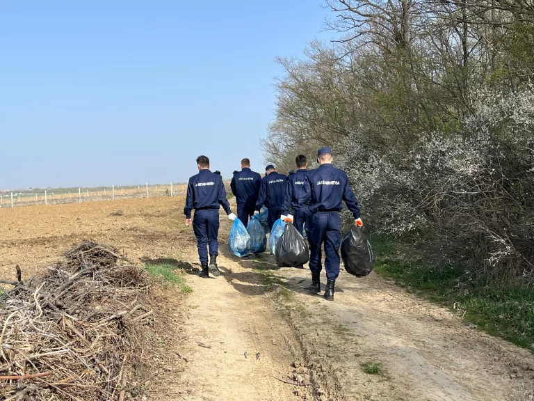Gunoaie scoase cu sacii dintr-o pădure de lângă Botoșani