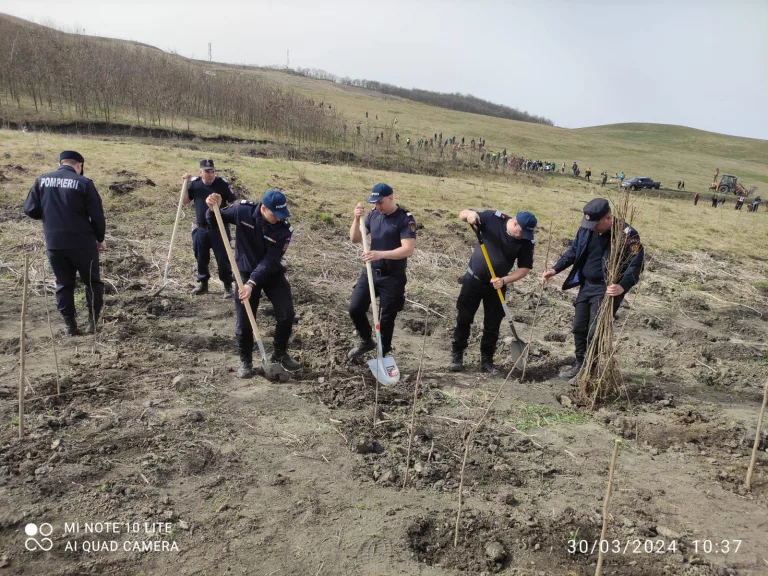 Sute de copaci plantați de pompieri, în cadrul unei acțiuni de voluntariat