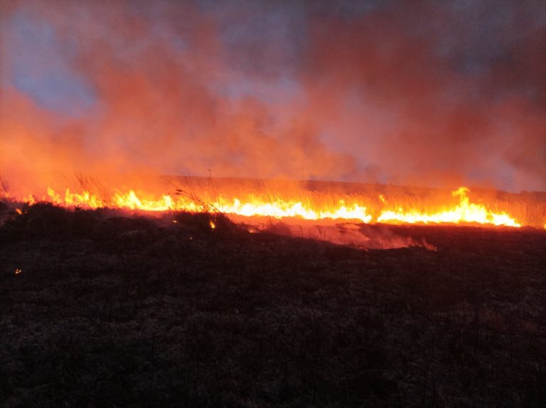 Zeci de hectare de teren pârjolite de flăcări, în toiul nopții (VIDEO)