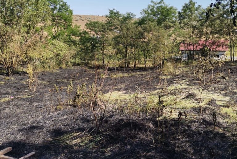 Incendiile de vegetație fac prăpăd în județ. Casă nelocuită mistuită de flăcări