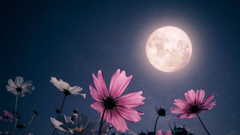 Luna Florilor: Un fenomen astronomic spectaculos